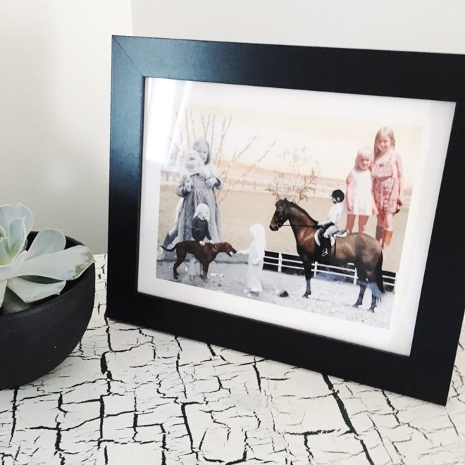 framed collage sits on a shelf next to a plant